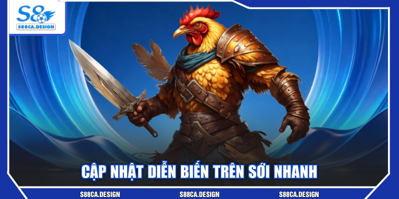 Cập nhật diễn biến trên sới nhanh