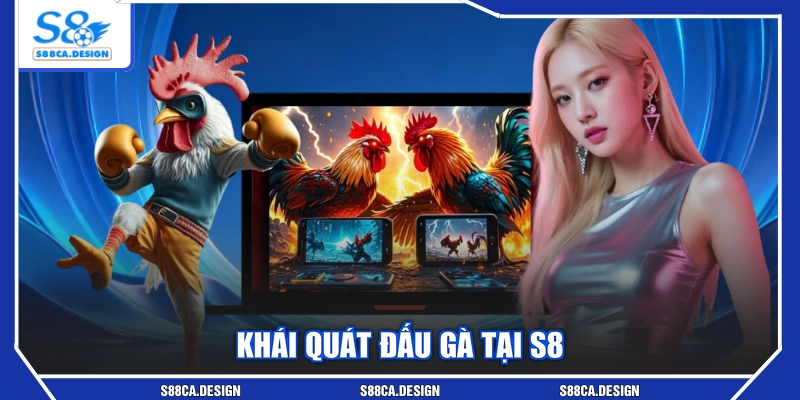 Khái quát đấu gà tại S8